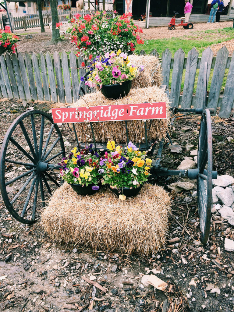 Springridge Farm Burlington ontario Canada