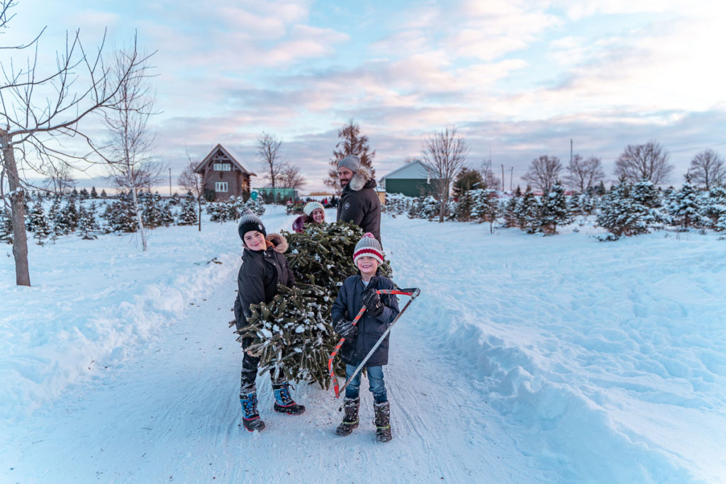 york-durham-heawaters-spademan-tree-farm