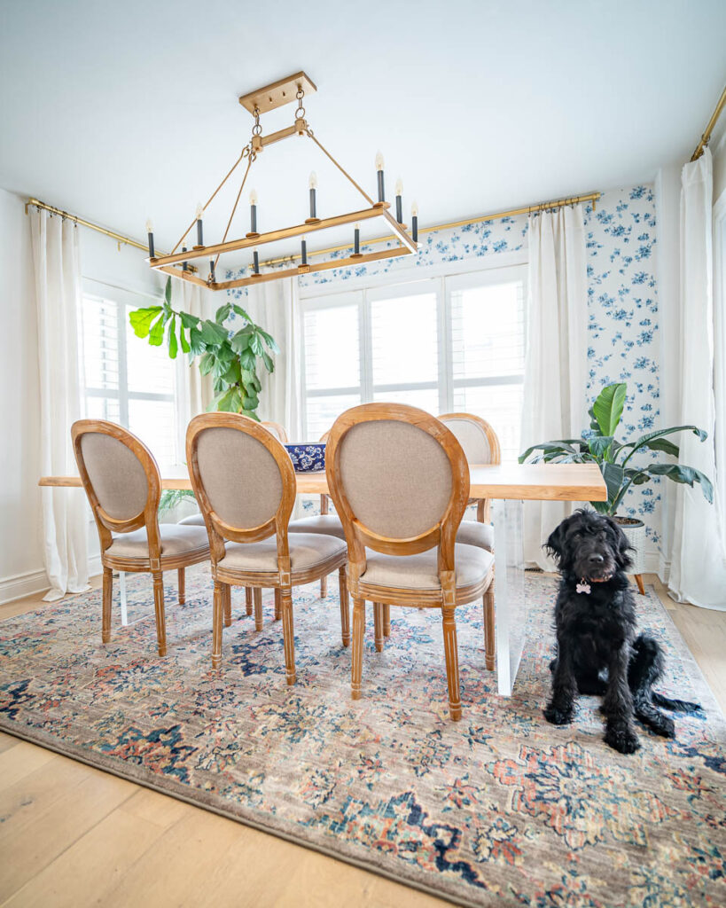 dog-sitting-on-mohawk-home-rug